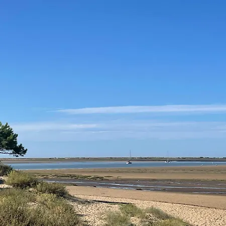 Hébergement de vacances Superb Mobilhome Cc379 Siblu Les Charmettes Les Mathes